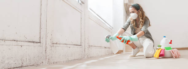 Mold Removal for HVAC Installations